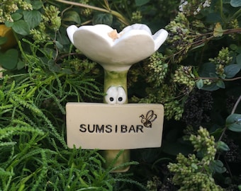 Insect waterer Sumsibar