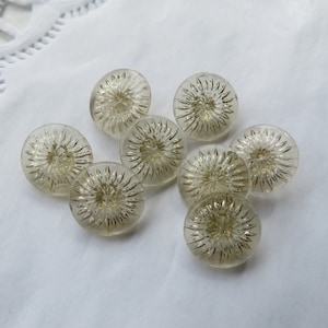 Puede incluir: Ocho botones de cristal transparente con un diseño de estrella dorada.