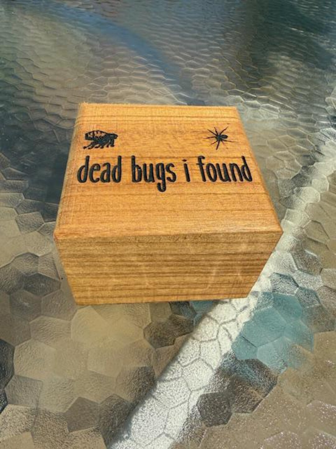 Dead Bugs I Found - Funny Wooden Keepsake - Jewelry Box - Large - Etsy