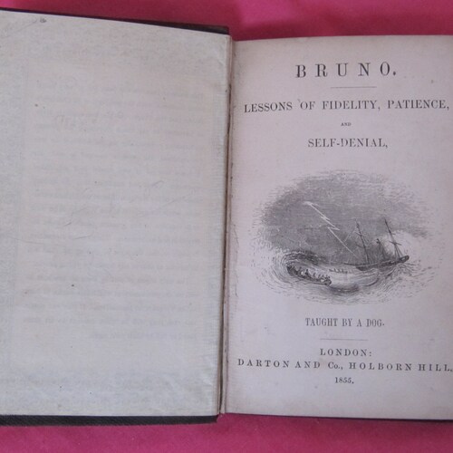 Darton's Holiday Library: BRUNO by shops Jacob Abbot (1855) - Very RARE