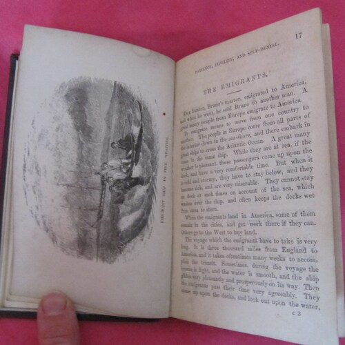Darton's Holiday Library: BRUNO by shops Jacob Abbot (1855) - Very RARE