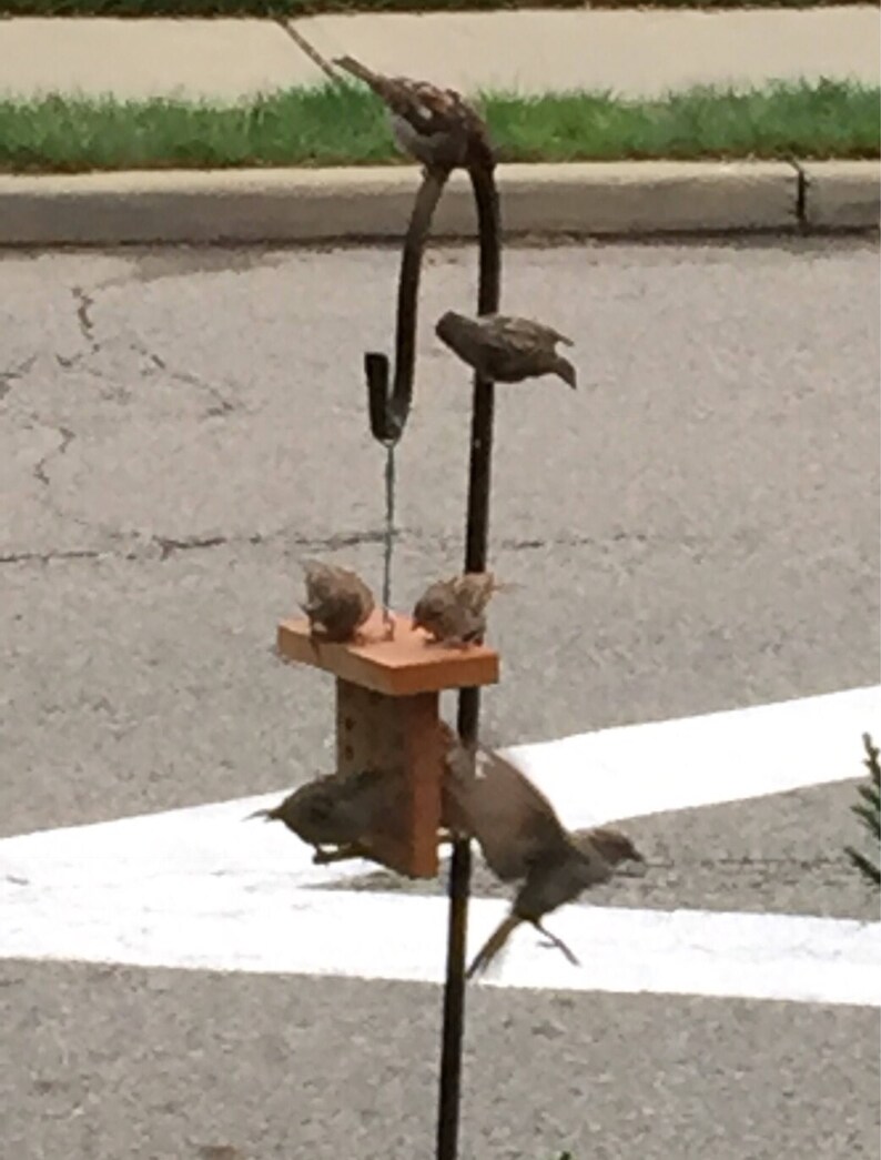 Bird Feeder Shamrock Irish Bird Feeder Erin Go Bragh Good Etsy