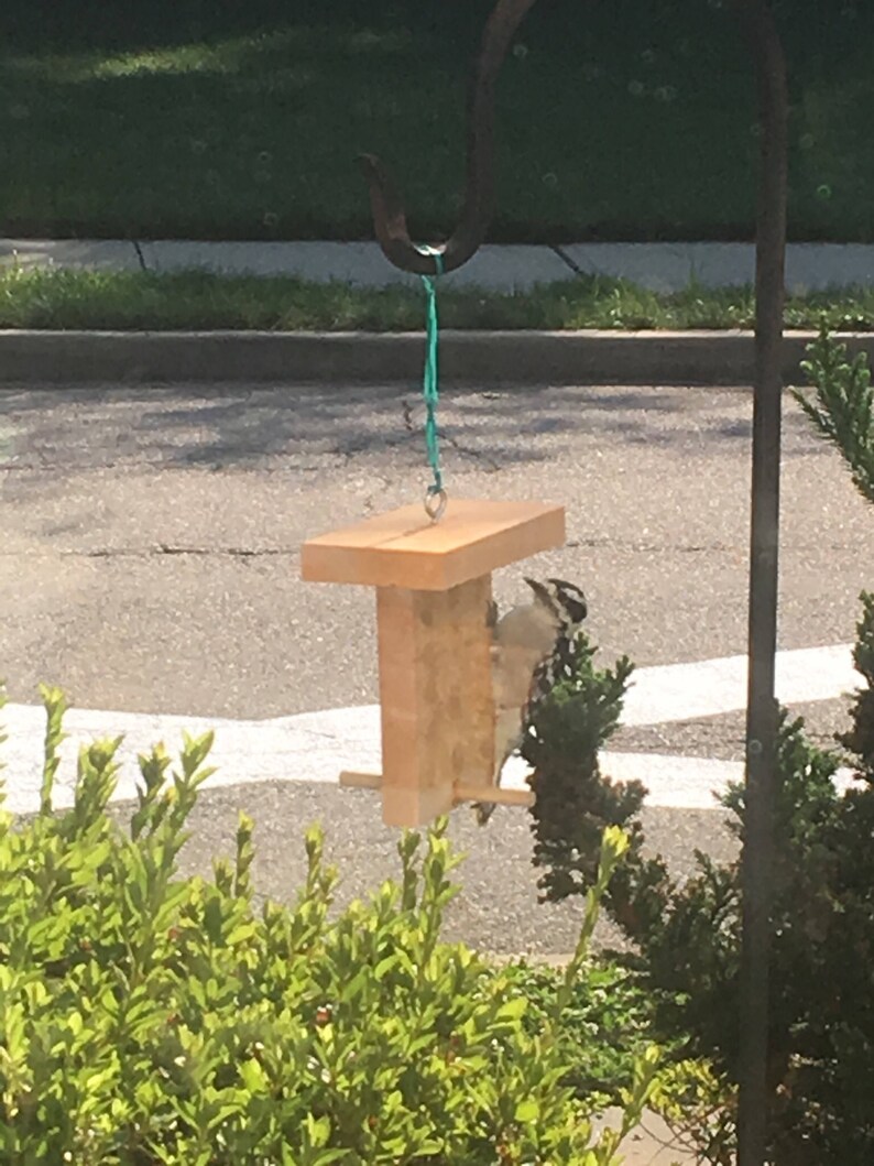 Shamrock bird feeder Irish Bird Feeder Erin Go Bragh Good Etsy