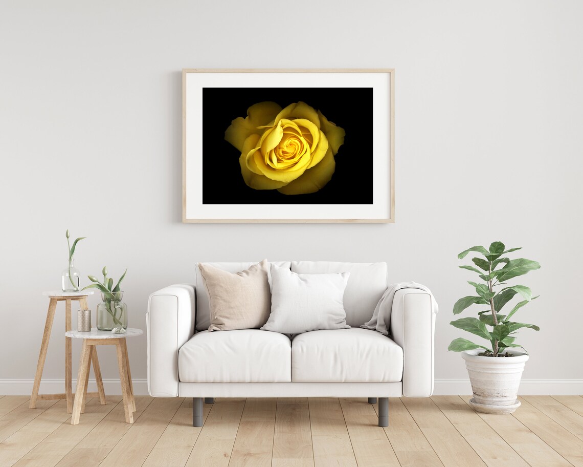 Yellow Rose Wall Art Rose Printable Flower Print Digital Etsy