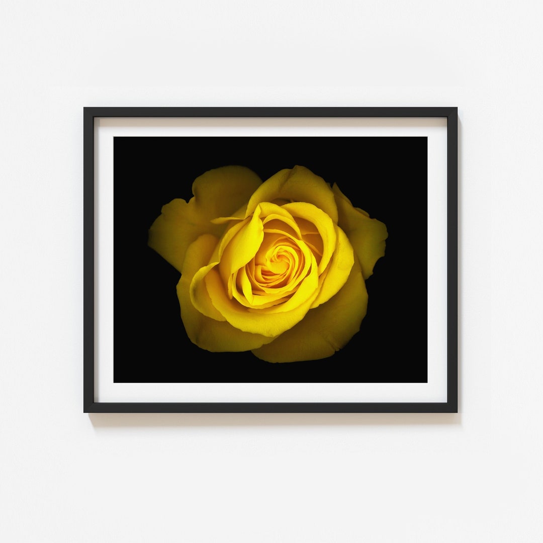 Yellow Roses To Print Yellow Rose Wall Art | Rose Printable | Flower Print | Digital Download ...
