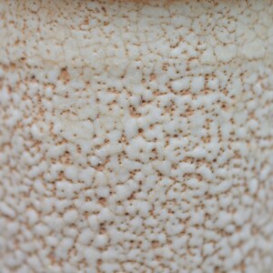 Puede incluir: Primer plano de una taza de cer&aacute;mica blanca con una superficie texturizada. La superficie tiene un esmalte craquelado con motas marrones.