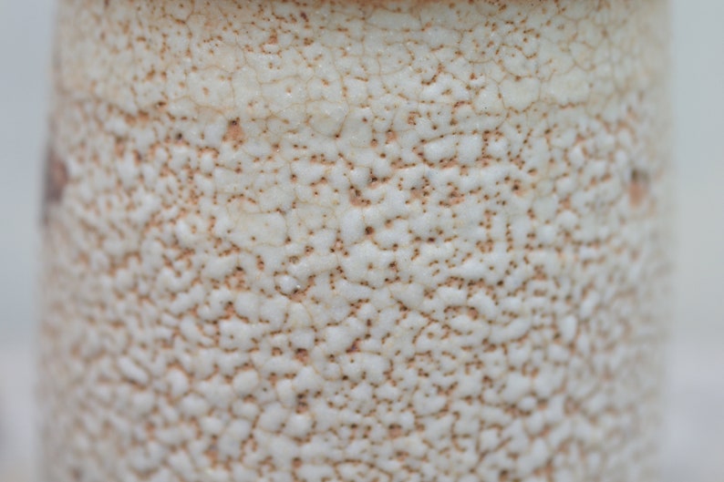 Puede incluir: Primer plano de una taza de cer&aacute;mica blanca con una superficie texturizada. La superficie tiene un esmalte craquelado con motas marrones.