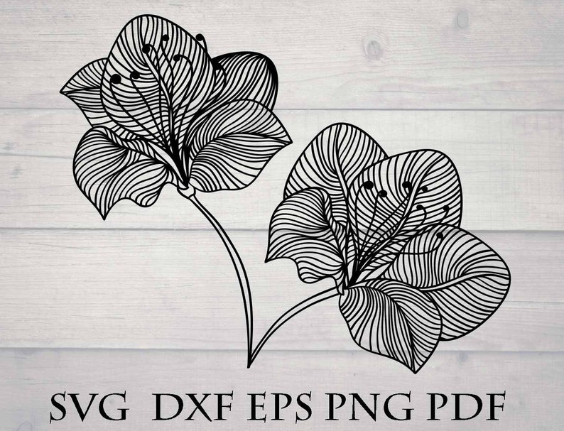 Free Free Intricate Mandala Svg 918 SVG PNG EPS DXF File