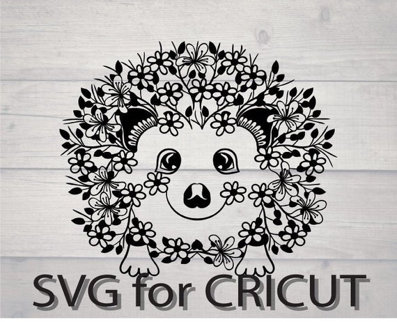Download Hedgehog Svg Etsy