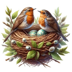14 PNG Spring Robin Birds Nest PNG – Dois pássaros com ovos e folhas Clipart, Download digital Ilustração da natureza