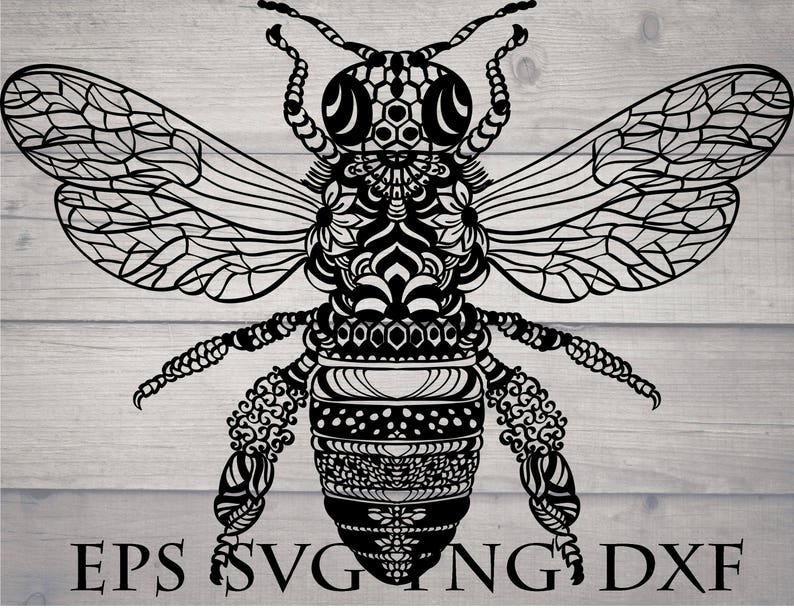 Bee svg insect svg mandala svg intricate svg | Etsy