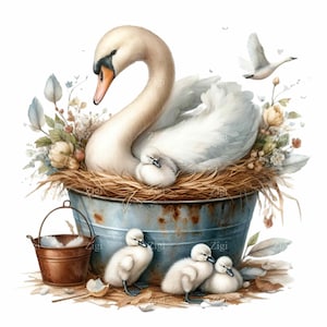 20 cisnes y pichones en nido rústico (imagen PNG), crías de cisnes con plumas y flores, ilustración de animales de primavera.