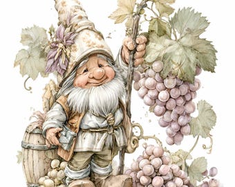 15 PNG Wine Gnome Watercolor Clipart. Vineyard Sublimation Grape Garden