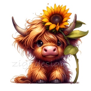 14 vacas de las Tierras Altas PNG Clipart - Lindo toro bebé con girasol en la cabeza - Arte de animales de granja para manualidades, pegatinas y decoración de verano