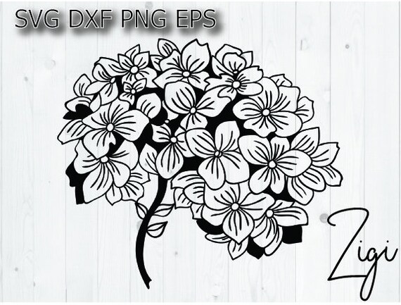 Download Floral Cricut Svg Cut File Garden Flower Svg Cut File Hydrangea Template Svg Garden Svg Hydrangea Clipart Botanical Svg Png Clipart Clip Art Art Collectibles