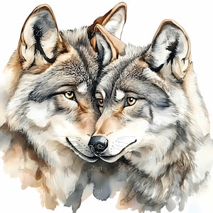 16 imágenes prediseñadas de lobos románticos en formato JPEG: dos lobos amorosos acurrucándose en un estilo de acuarela, arte de vida salvaje, descarga digital en formato JPG
