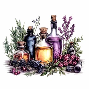 19 PNG Vintage Apothecary Bottles PNG Clipart, Barattoli di pozioni erboristiche con bacche e lavanda, Design botanico a sublimazione di streghe