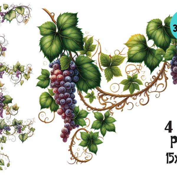 Grape Vine Clipart, Watercolor Sublimation, PNG