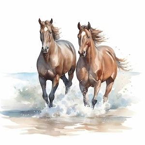 20 JPG Clipart przedstawiający dwa konie galopujące na plaży - Sztuka cyfrowa w stylu akwareli - Natychmiastowe pobranie