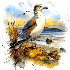 20 JPG Mewa Clipart na Scena Plaży Nadmorskiej, Akwarela Ptak Nadmorski JPEG, Sztuka Natury Brzegu Oceanu, Dekoracja Morska, Natychmiastowe Pobieranie