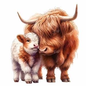 Clipart vache et veau Highland, 10 adorables mère et bébé vache PNG, art numérique pour enfants et projets sur le thème de la ferme