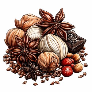 15 clipart steranijs en specerijen png - aromatische kruiden en noten png - illustratie rustieke keuken Cooking