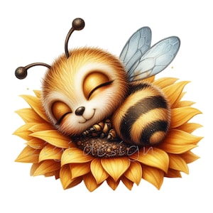 Clipart abeille, tournesol Clip Art, 15 PNG aquarelle, journal, fabrication de cartes, étiquette cadeau, chemise enseignant Images numériques sublimation