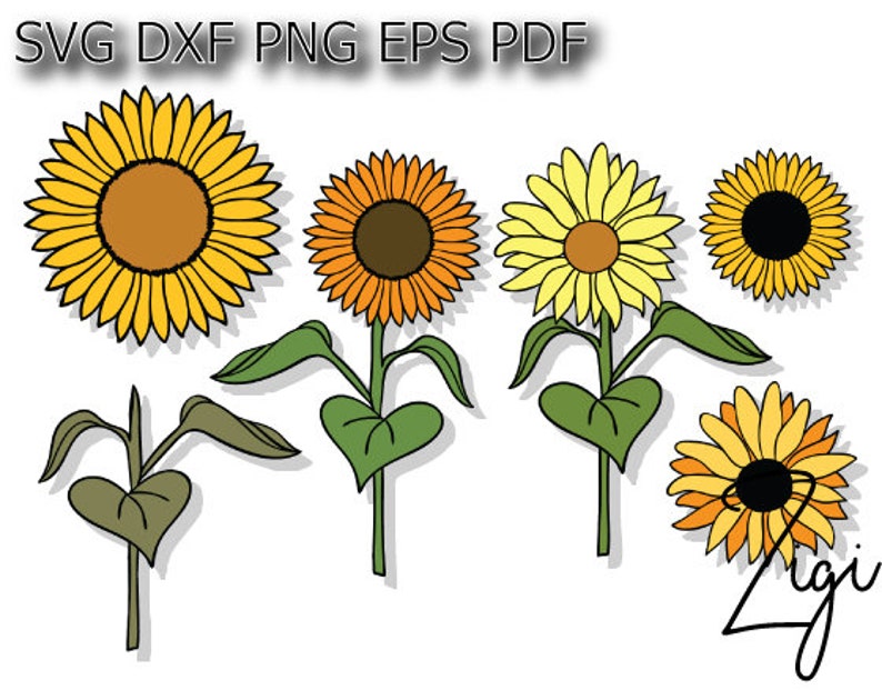 Free Free 62 Free Sunflower Svg Download SVG PNG EPS DXF File