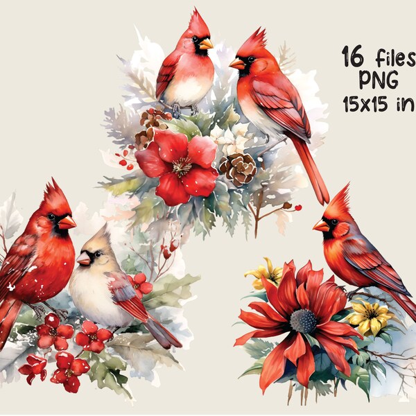 Watercolor Red Cardinal Clipart PNG Bundle Christmas Card Making Winter Sublimation Printable