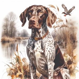 Braco alemán Clipart Papeles digitales 10 JPG Perro de caza Acuarela Pato Temporada Scrapbooking, Diario basura imprimible digital