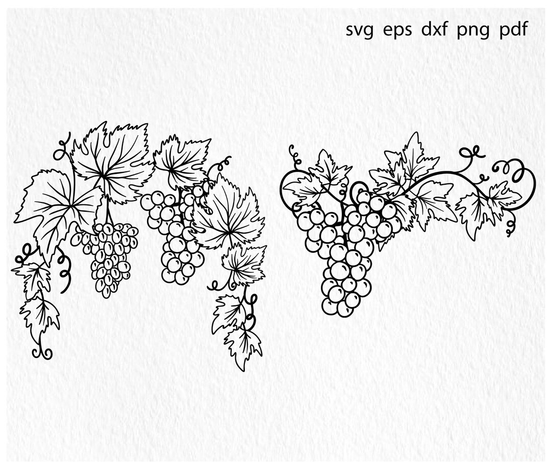 Bunch of Wine Grapes Svg, Wine Svg, Bunch of Grapes Svg, Grapevine