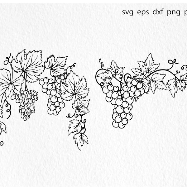 Bunch of wine grapes svg, wine svg, bunch of grapes svg, grapevine, wine lovers svg, wooden svg, decorative grapes leaf wine winery vineyard