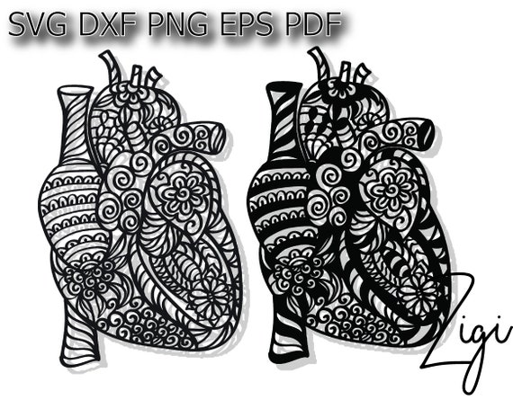 Anatomical Heart Svg Etsy