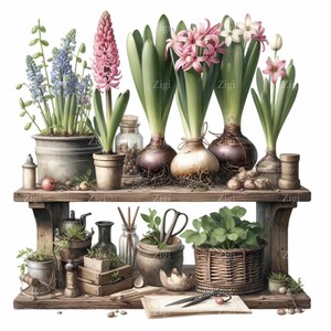 Disposizione dei bulbi da giardino primaverili PNG Clipart, 12 Illustrazione di mensola rustica per bulbi da fiore, Arte decorativa per giardinaggio vintage