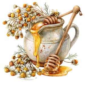 May include: Watercolor illustration of a honey pot with honey dripping down. Two wooden honey dippers rest on the pot, and a bee sits on one. Dried chamomile flowers and greenery surround the pot, with a small puddle of honey at the base.