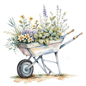 May include: A vintage metal wheelbarrow filled with a variety of colorful flowers, including purple, yellow, and blue blooms. The wheelbarrow is sitting on a dirt path with a few small rocks.