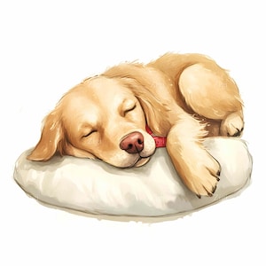 16 JPEG Golden Retriever – Sleeping Dog JPG Clipart – Cute Puppy on Pillow for Pet Nursery Decor, Animal Art Printable Download