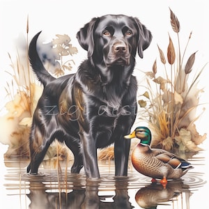 Imágenes Prediseñadas de perro de caza, Labrador negro imágenes prediseñadas papeles digitales 12 JPG acuarela pato temporada Scrapbooking, diario basura imprimible digital