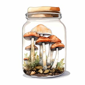 24 imágenes prediseñadas JPEG de terrario de hongos en frasco de vidrio, ilustración de hongos y plantas del bosque, escena natural caprichosa, arte digital JPEG