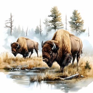 16 imágenes prediseñadas de paisaje de bisonte en formato JPEG: arte JPG de búfalo salvaje: escena rústica de naturaleza para decoración de pared de cabaña, impresión de vida silvestre o diseño con temática del oeste.