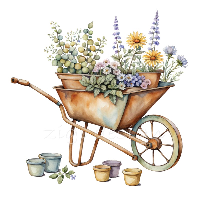 May include: A rusty metal wheelbarrow filled with potted plants. The plants include lavender, daisies, and other wildflowers. There are also several small terracotta pots on the ground.