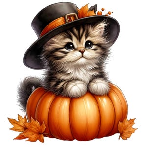 15 Clipart PNG di gattini autunnali, simpatico gatto soffice con cappello seduto su una zucca con foglie autunnali, arte del Ringraziamento