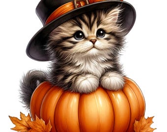 15 PNG Halloween Tabby Cat Pumpkin, Autumn Witch Hat Sublimation