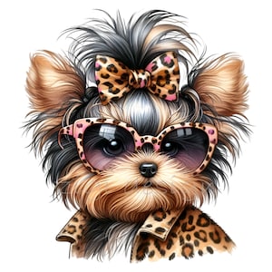 May include: A Yorkshire Terrier wearing pink sunglasses and a leopard print bow. The dog is wearing a leopard print jacket.