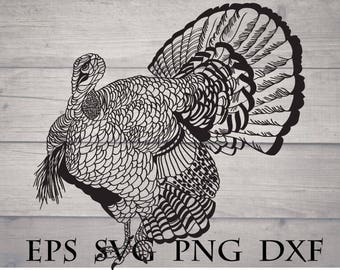 Mandala turkey svg / zentangle turkey svg / turkey for cricut / turkey cricut file / turkey stencil svg / mandala bird svg / turkey download