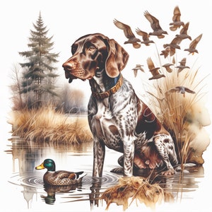 Könnte beinhalten: Ein brauner und weißer Deutsch Kurzhaar sitzt in einem Teich mit einer grün-braunen Ente, die vor ihm schwimmt. Der Hund schaut nach links aus dem Bild. Im Hintergrund sind braune Schilfpflanzen und eine grüne Kiefer zu sehen. Der Hund trägt ein braunes Lederhalsband.