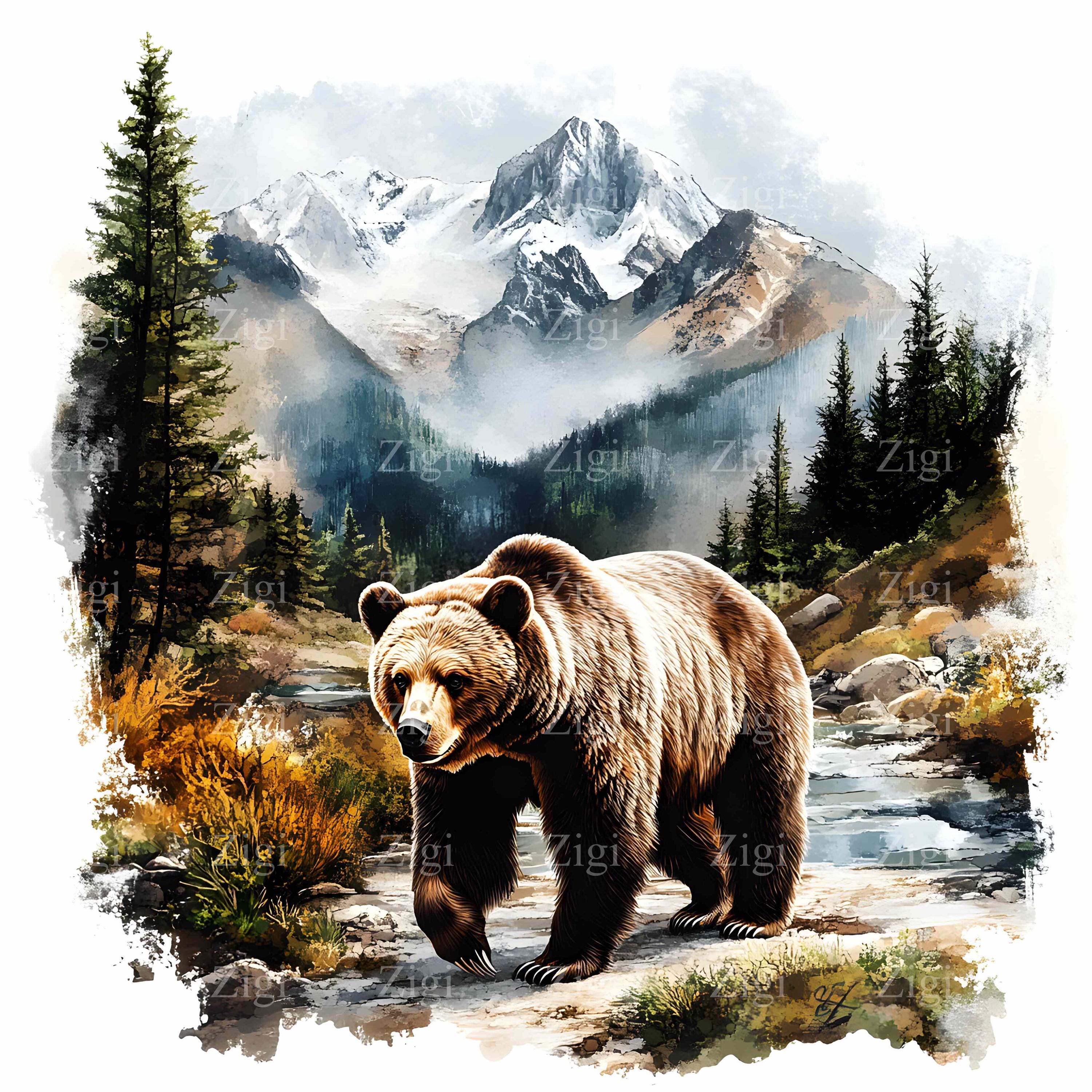 16 JPEG Grizzly Bear Mountain JPG Clipart - Digital