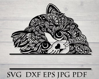 Download Mandala cat svg | Etsy