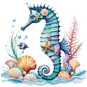 18 imágenes PNG de caballitos de mar: caballitos de mar coloridos con conchas, estrellas de mar y corales. Arte de vida marina submarina.