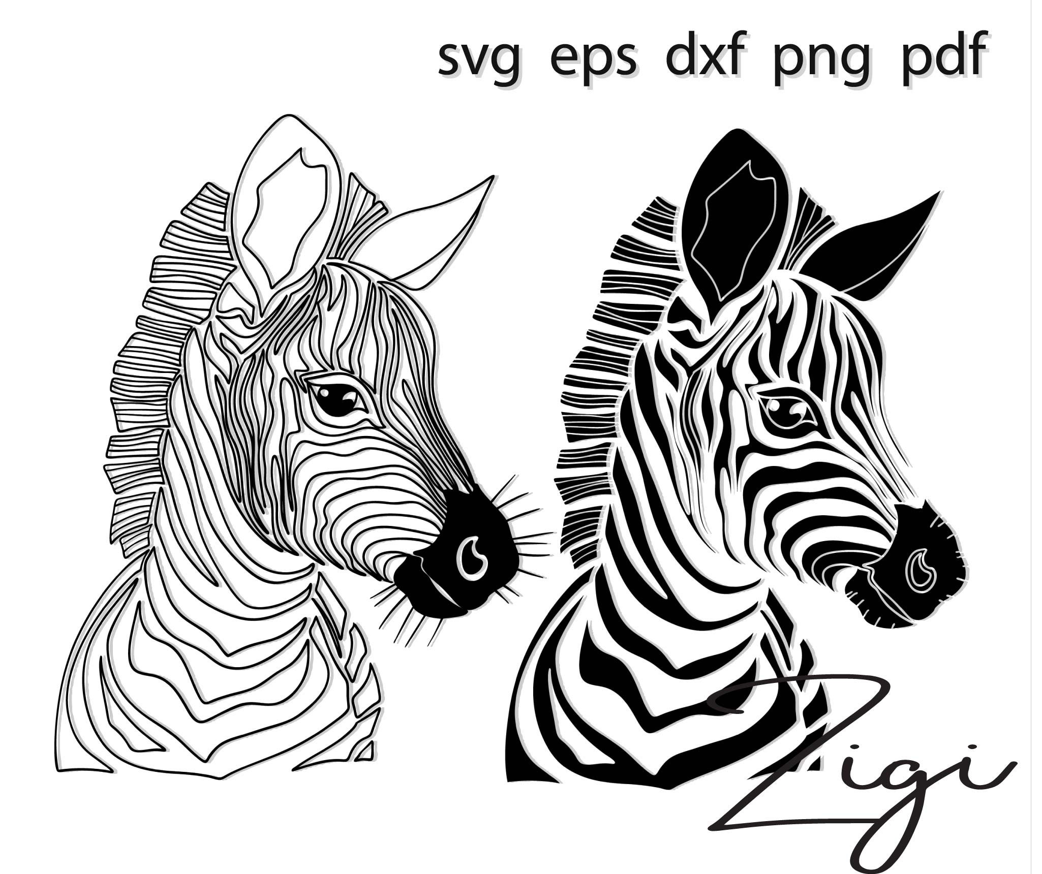 Download Free Zebra Svg Etsy SVG Cut Files